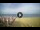 Webcam in Tirrenia, 15.7 km