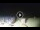 Webcam in Tirrenia, 15.7 km entfernt