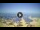Webcam in Tirrenia, 1.4 mi away