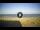 Webcam in Tirrenia, 9.5 km
