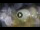 Webcam in Rimini, 8.6 km