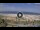 Webcam in Rimini, 1.5 km