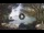 Webcam in Fiascherino, 0.8 km