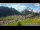 Webcam in Lech am Arlberg, 0.5 km entfernt