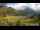 Webcam in Lech am Arlberg, 0.4 mi away