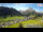 Webcam in Lech am Arlberg, 0.9 km