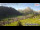 Webcam in Lech am Arlberg, 0.5 mi away