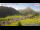 Webcam in Lech am Arlberg, 2.3 km
