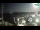Webcam in La Maddalena, 2.4 mi away