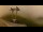 Webcam in Adelboden, 11.3 km