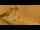 Webcam in Adelboden, 3.5 mi away