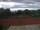 Webcam in Lörzweiler, 28.7 km