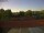 Webcam in Lörzweiler, 7.1 mi away