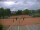 Webcam in Lörzweiler, 10.9 km entfernt