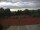 Webcam in Lörzweiler, 29.9 km