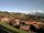 Webcam in Beatenberg, 0.1 mi away