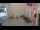 Webcam in Rovigno, 0.4 km