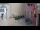 Webcam in Rovigno, 8.1 km