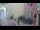 Webcam in Rovinj, 16.3 km entfernt