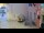 Webcam in Rovinj, 0 mi away