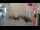 Webcam in Rovigno, 0 km