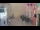 Webcam in Rovinj, 0 km