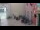 Webcam in Rovinj, 0.1 km entfernt