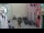 Webcam in Rovinj, 16.3 km