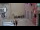 Webcam in Rovigno, 0 km