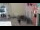 Webcam in Rovigno, 0 km