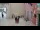 Webcam in Rovinj, 16.5 km