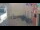 Webcam in Rovigno, 0 km