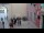 Webcam in Rovinj, 0.1 km