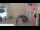 Webcam in Rovinj, 10.7 km