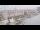 Webcam sulla AIDAbella, 199.1 km