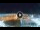 Webcam in Cesenatico, 4.5 km