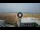 Webcam in Cesenatico, 1.2 mi away