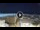 Webcam in Cesenatico, 0.1 mi away