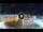 Webcam in Cesenatico, 1.7 mi away