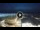 Webcam in Cesenatico, 6.3 km entfernt