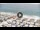 Webcam in Deiva Marina, 0.6 km