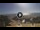 Webcam in Gizzeria Lido, 67 km