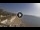 Webcam in Avola, 0.8 mi away