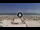 Webcam in Riccione, 1.1 mi away