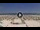 Webcam in Riccione, 0.2 mi away