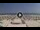 Webcam in Riccione, 0.4 mi away