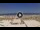 Webcam in Riccione, 0.7 km entfernt