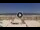 Webcam in Riccione, 0.4 km
