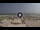 Webcam in Riccione, 1.3 mi away