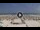 Webcam in Riccione, 0.4 mi away